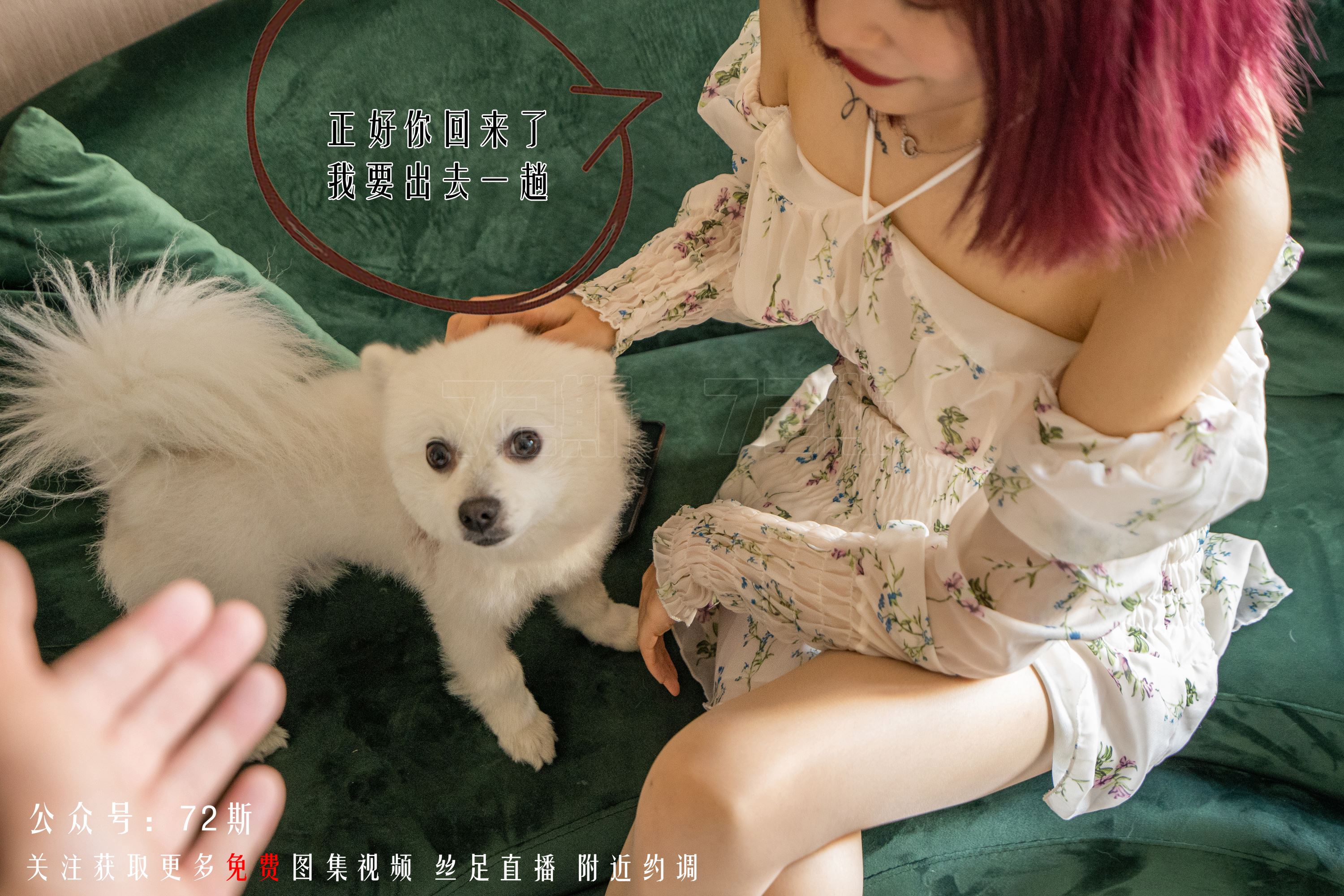 72斯图集 No.02 我的新室友2